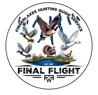 Professionally made Logo